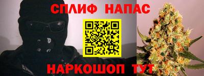 индика Ливны