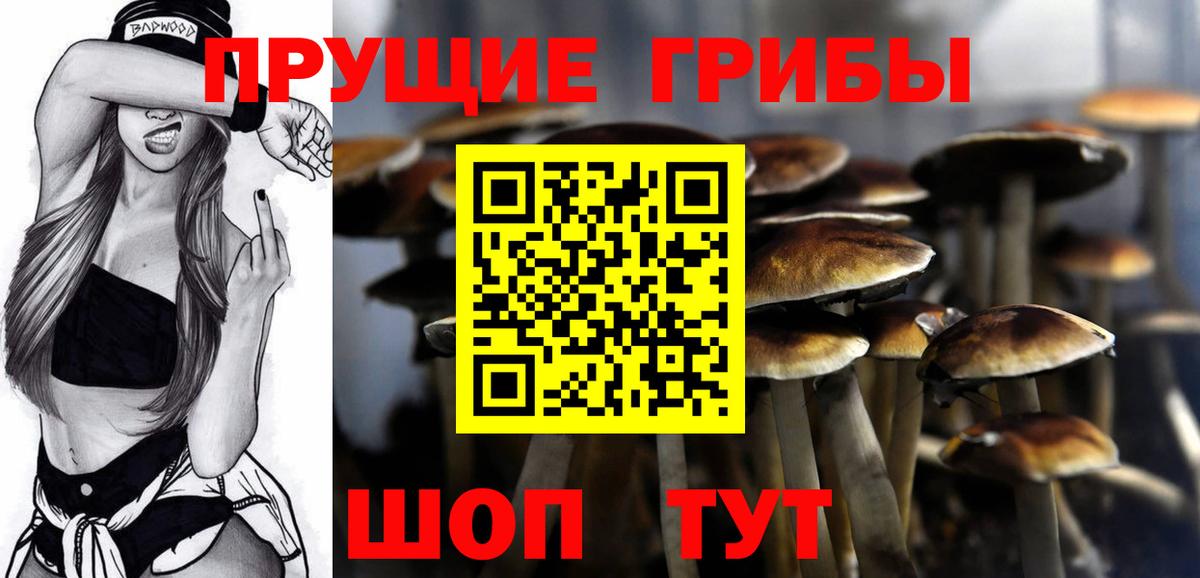 Псилоцибиновые грибы мицелий Заволжье