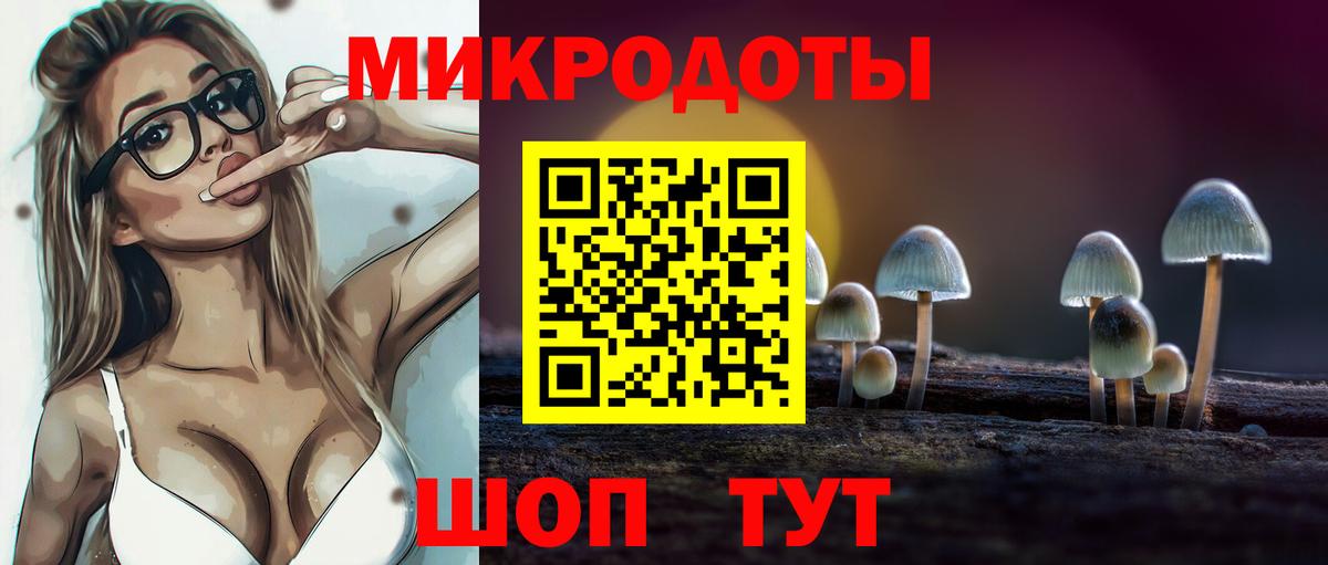 Псилоцибиновые грибы прущие грибы  купить наркотик  Заволжье  Псилоцибиновые грибы Magic Shrooms  Вход с VPN 